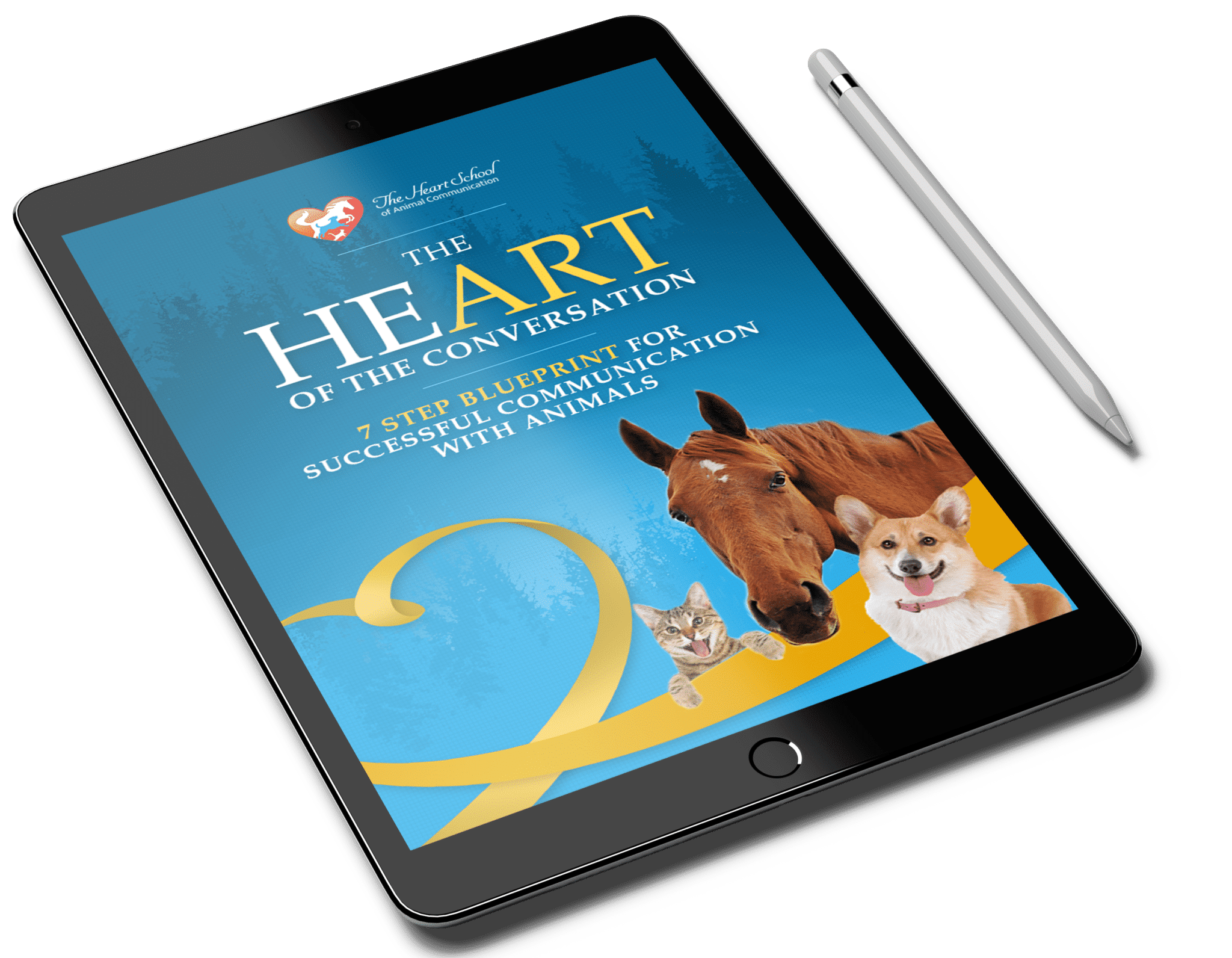The-Heart The-Heart