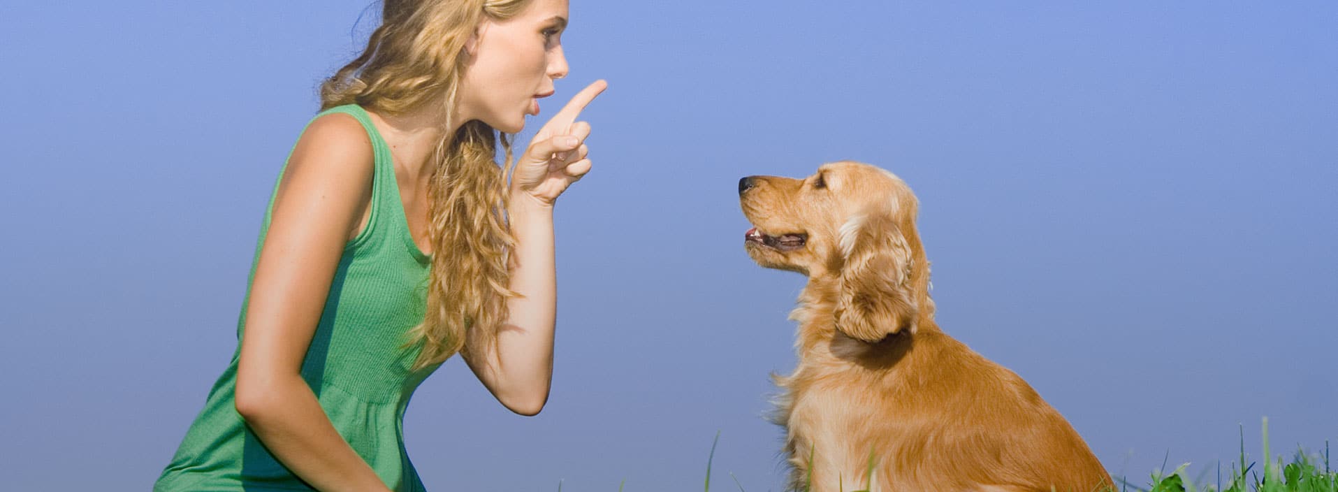 Everything You Need to Know About Animal Communication - Start Here