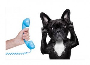 Black dog with telephone