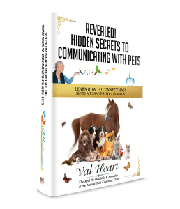 Secrets to Communicating with Animals