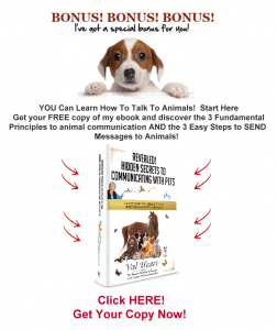 Secrets to communication with pets ebook gift