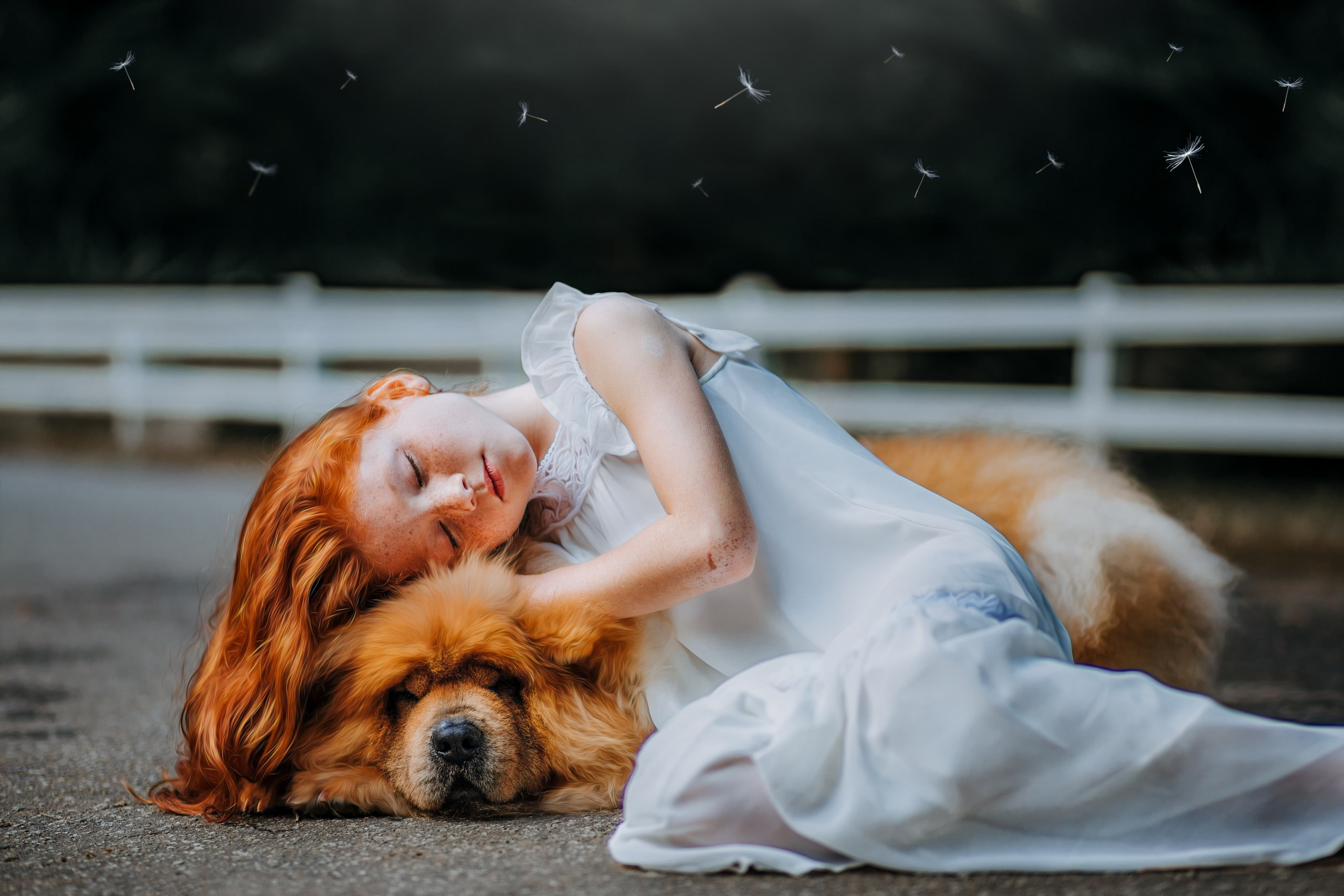 how humans and animals communicate