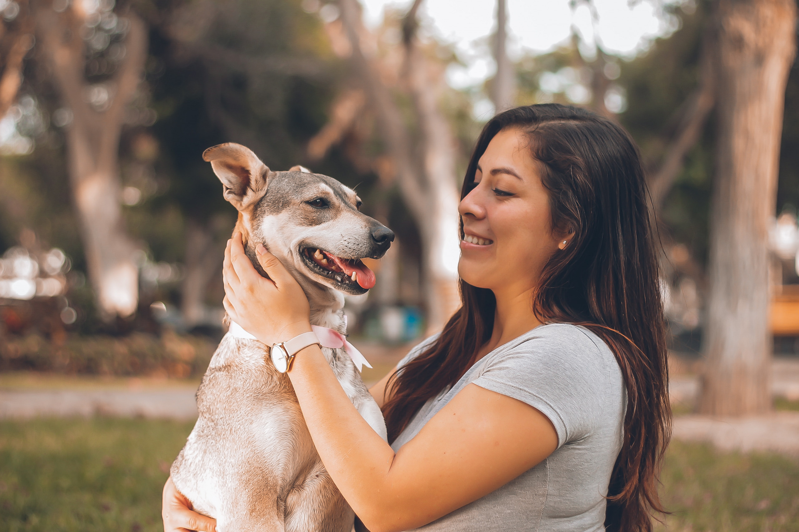 Animal Telepathy: How to Send a Powerful Message in 3 Easy Steps
