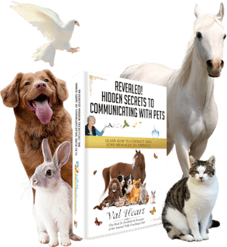 Learn How to Talk to Animals with Professional Animal Communicator, Val  Heart