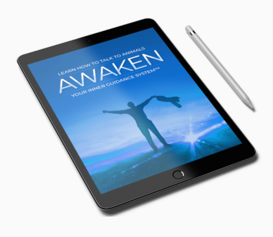 Awaken Your Intuition Awaken Your Intuition