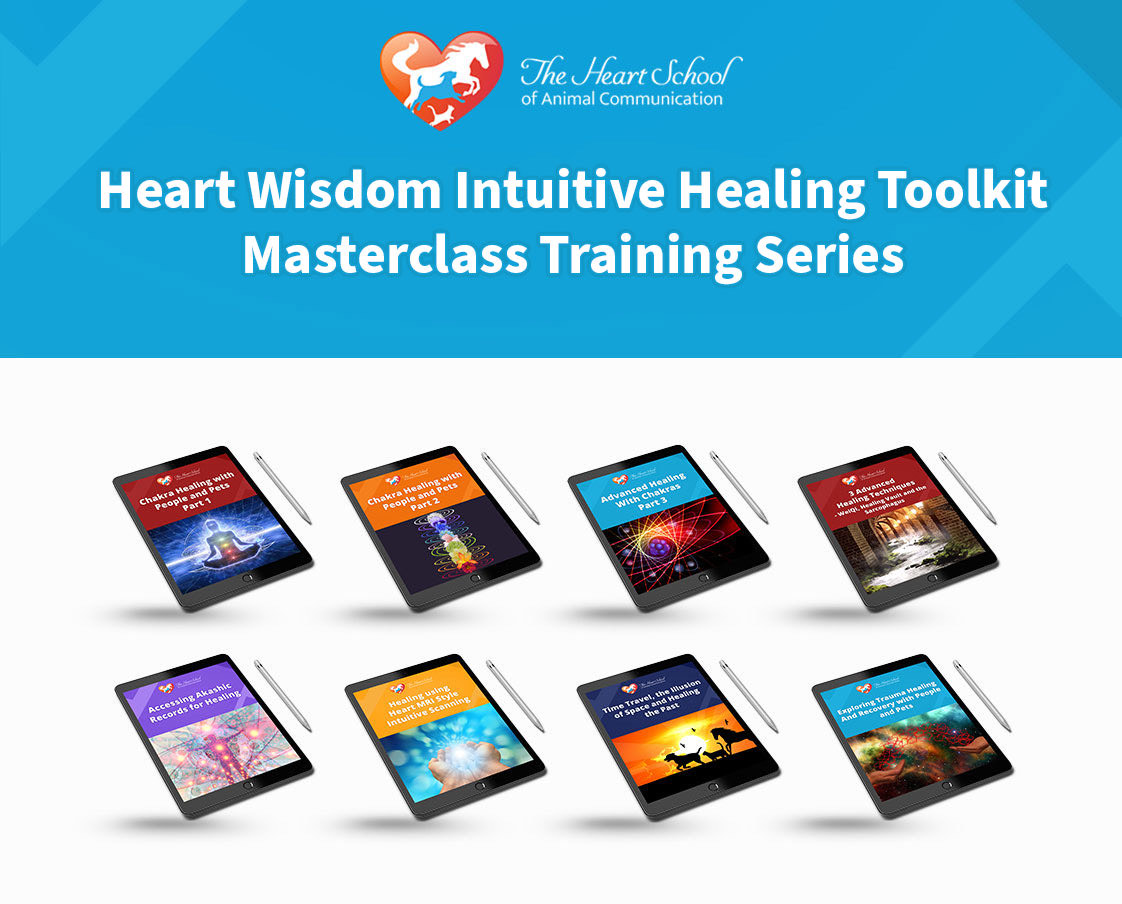 Heart Wisdom Intuitive Healing Toolkit Masterclass Training Series