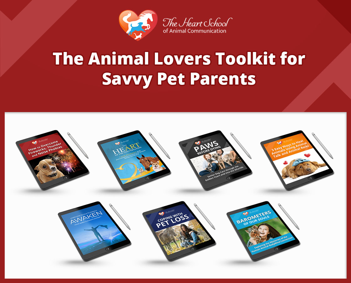 Animal Lovers Toolkit for Savvy Pet Parents