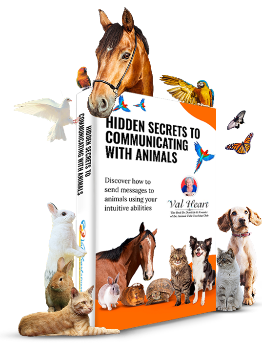 Free Animal Communication Ebook