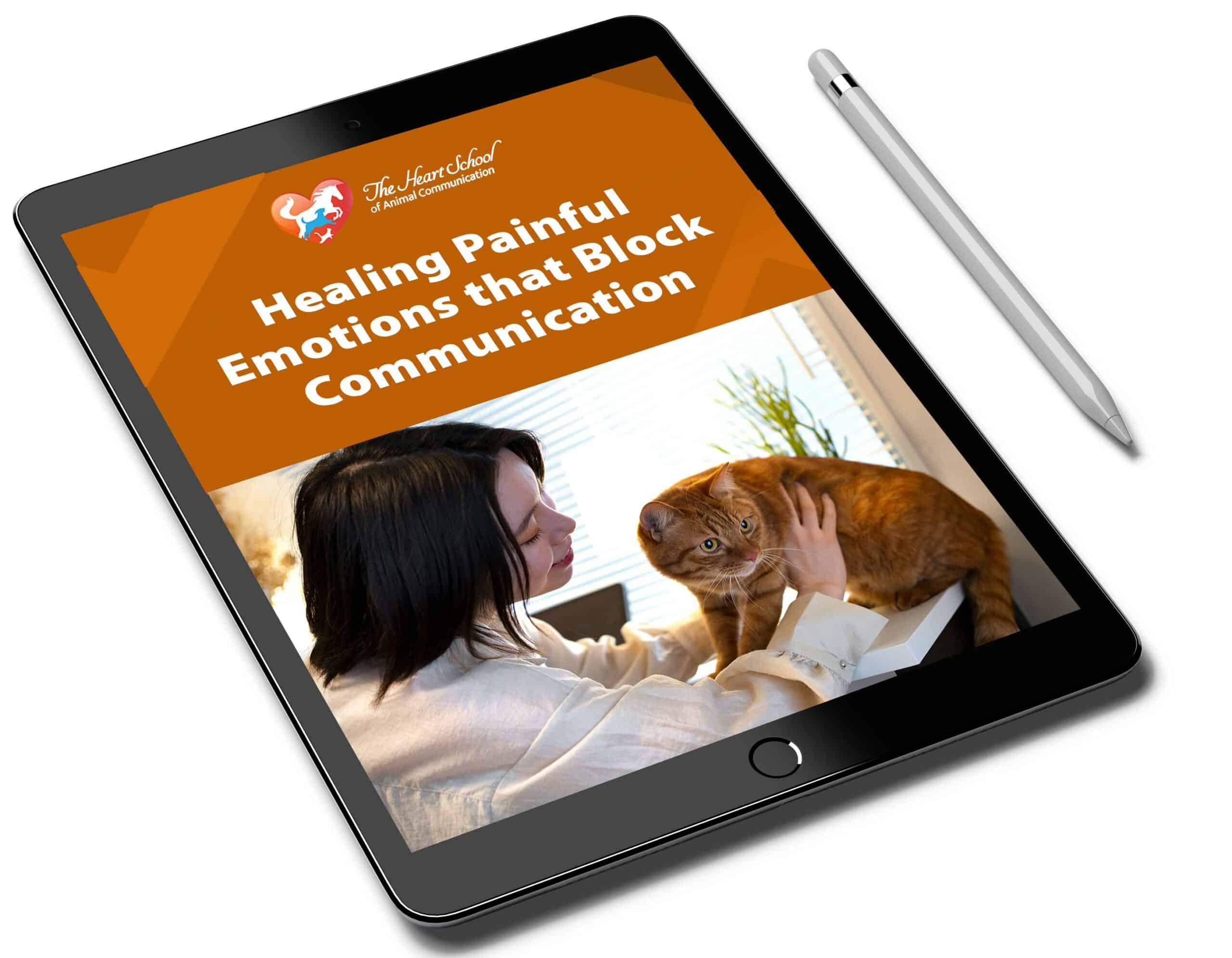 Healing Painful Emotions that Block Communication