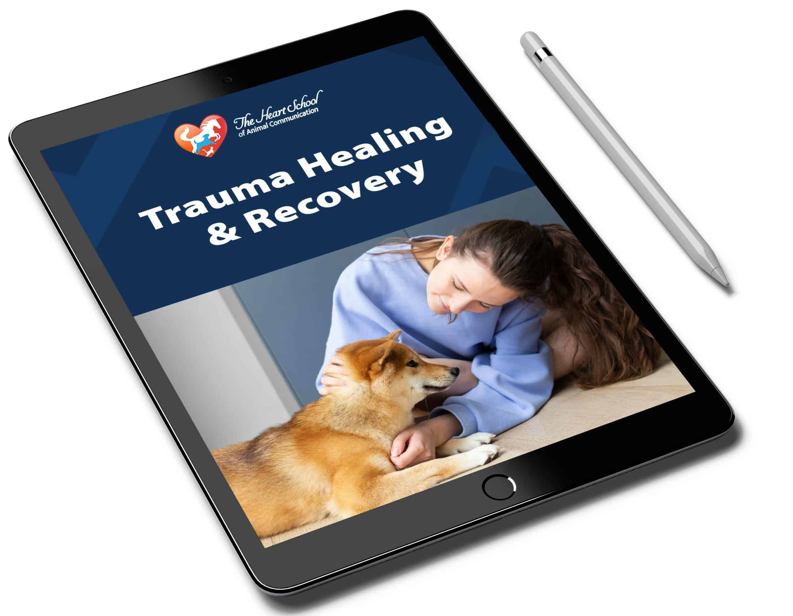 Trauma Healing and Recovery