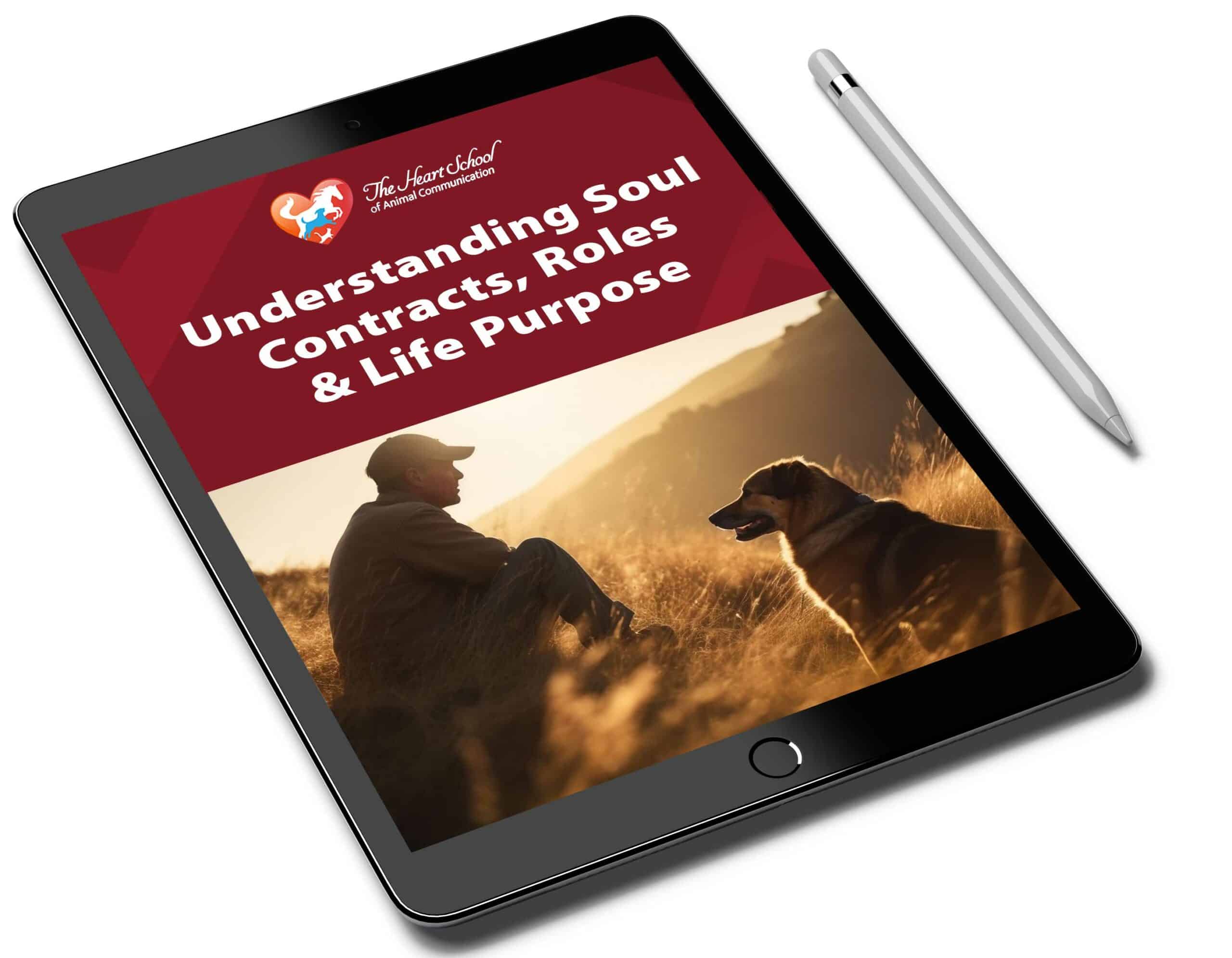 Soul Contracts, Roles and Life Purpose