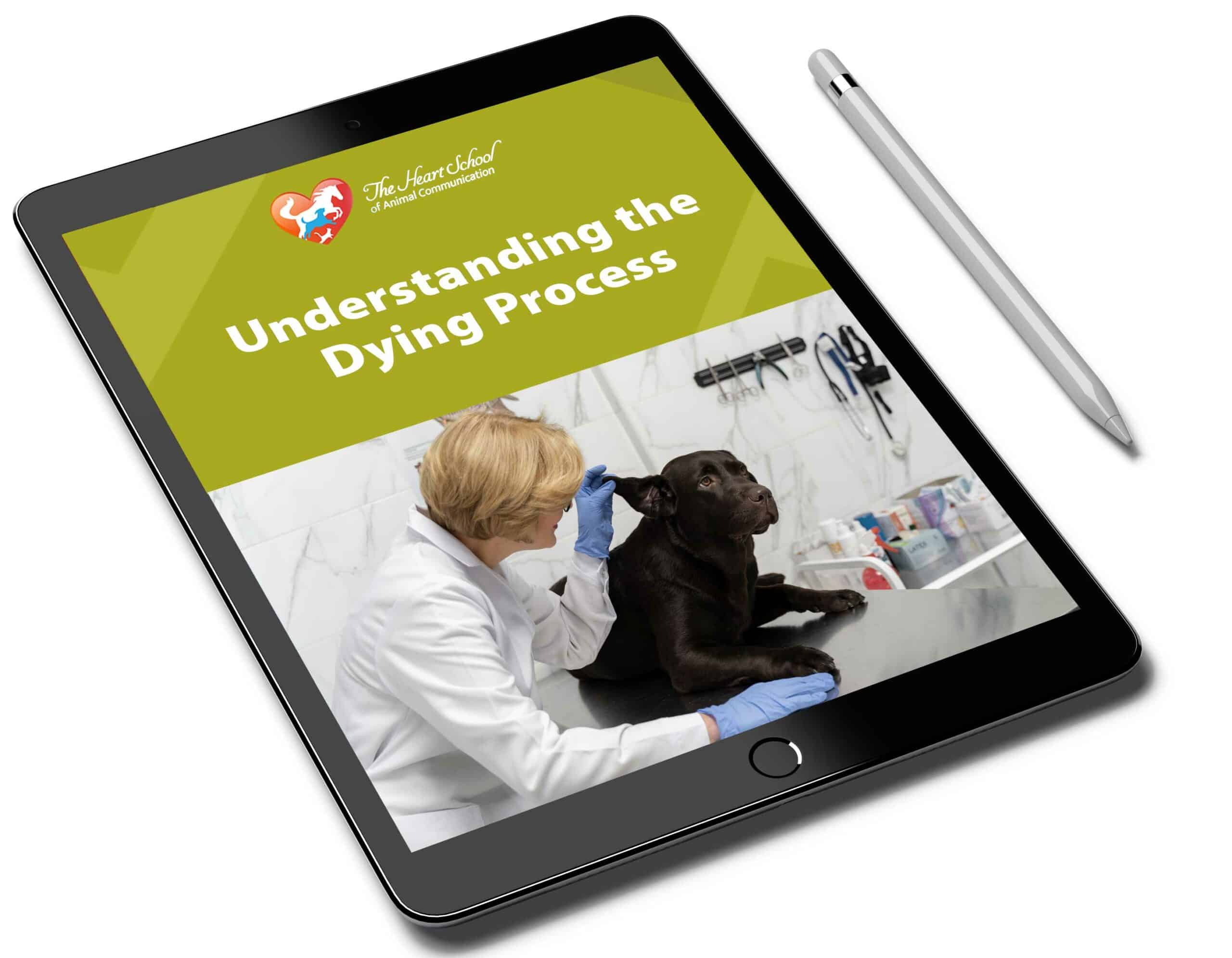 Understanding the Dying Process