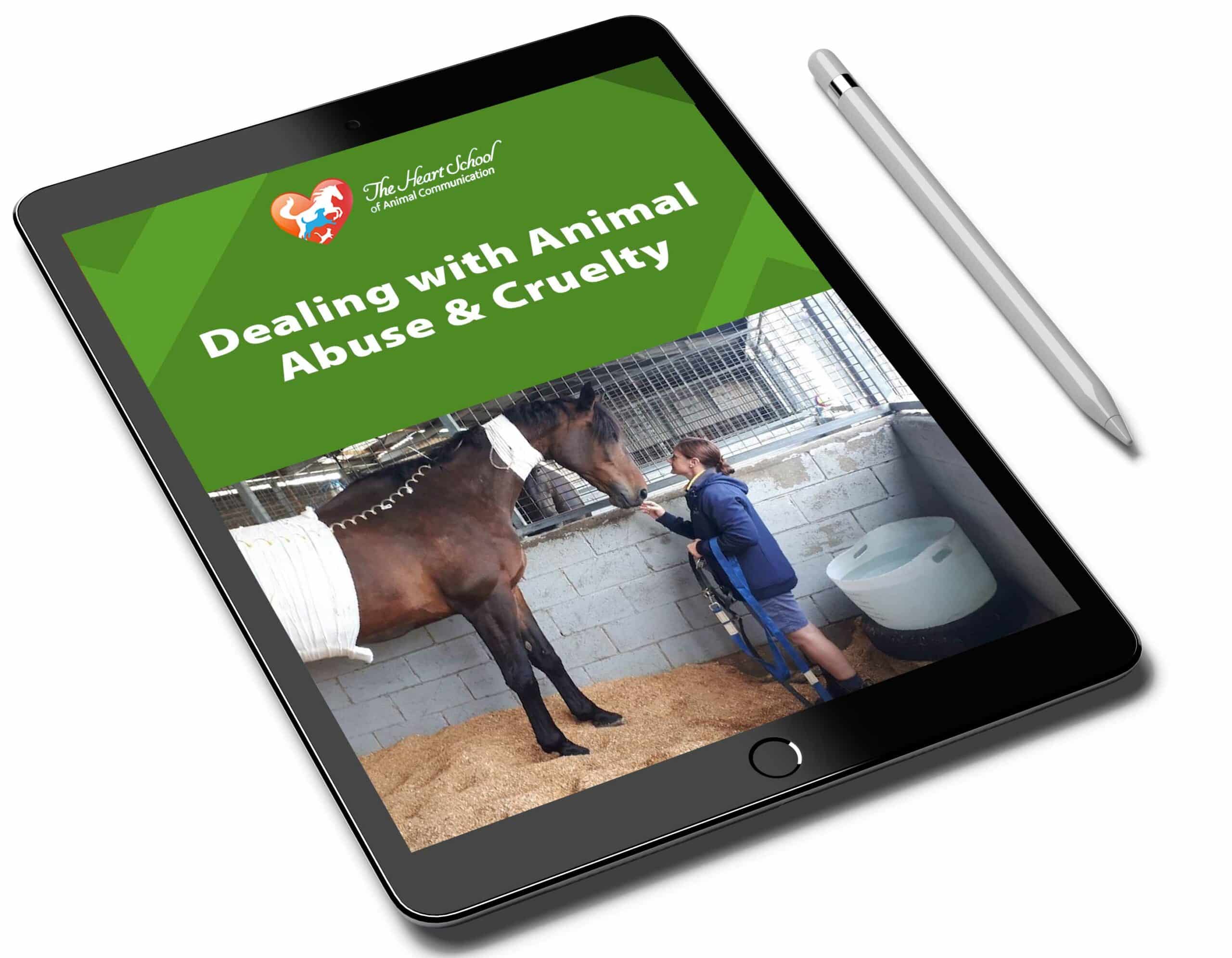 Dealing with Animal Abuse and Cruelty