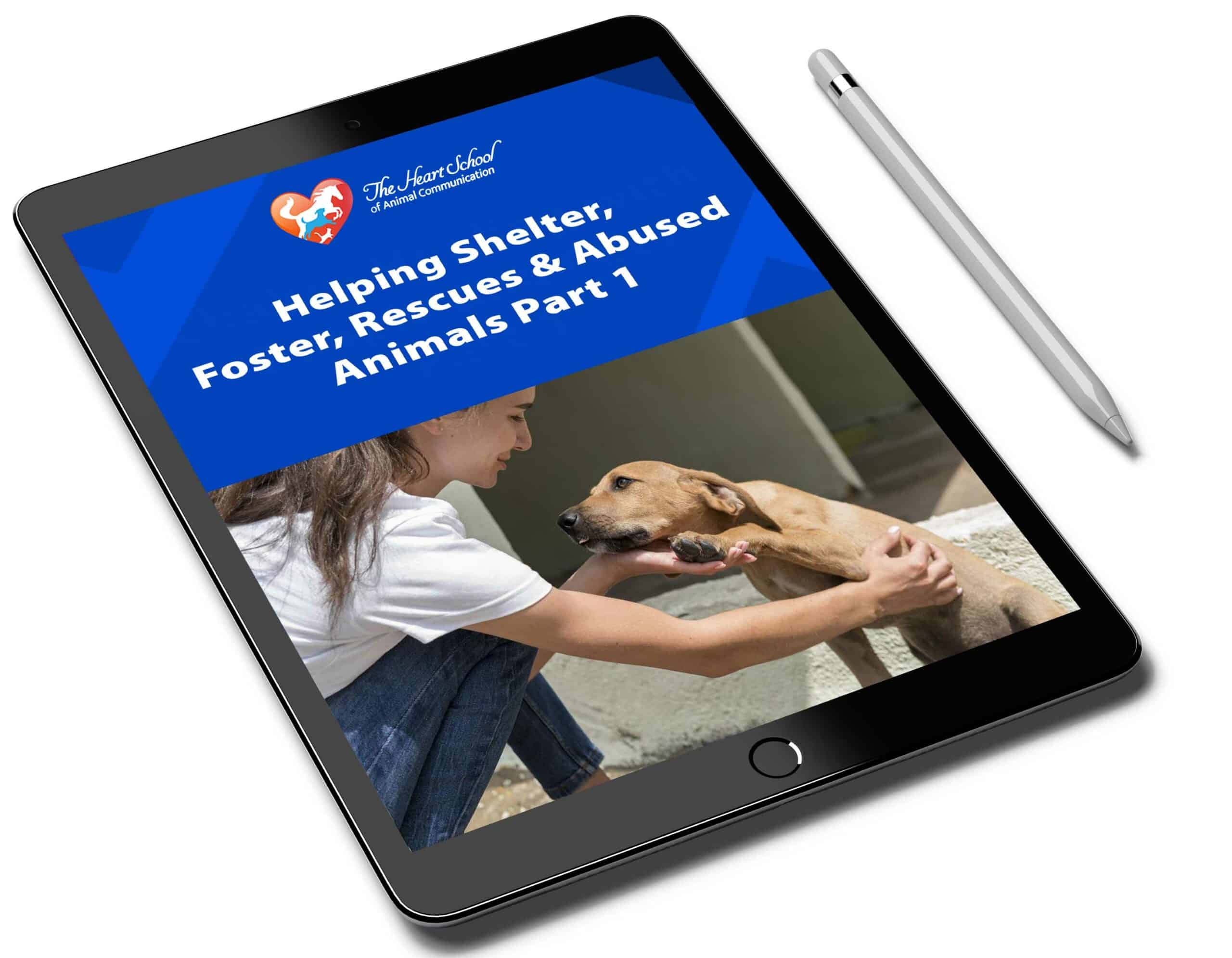 Helping Shelter, Foster, Rescues and Abused Animals Part 1