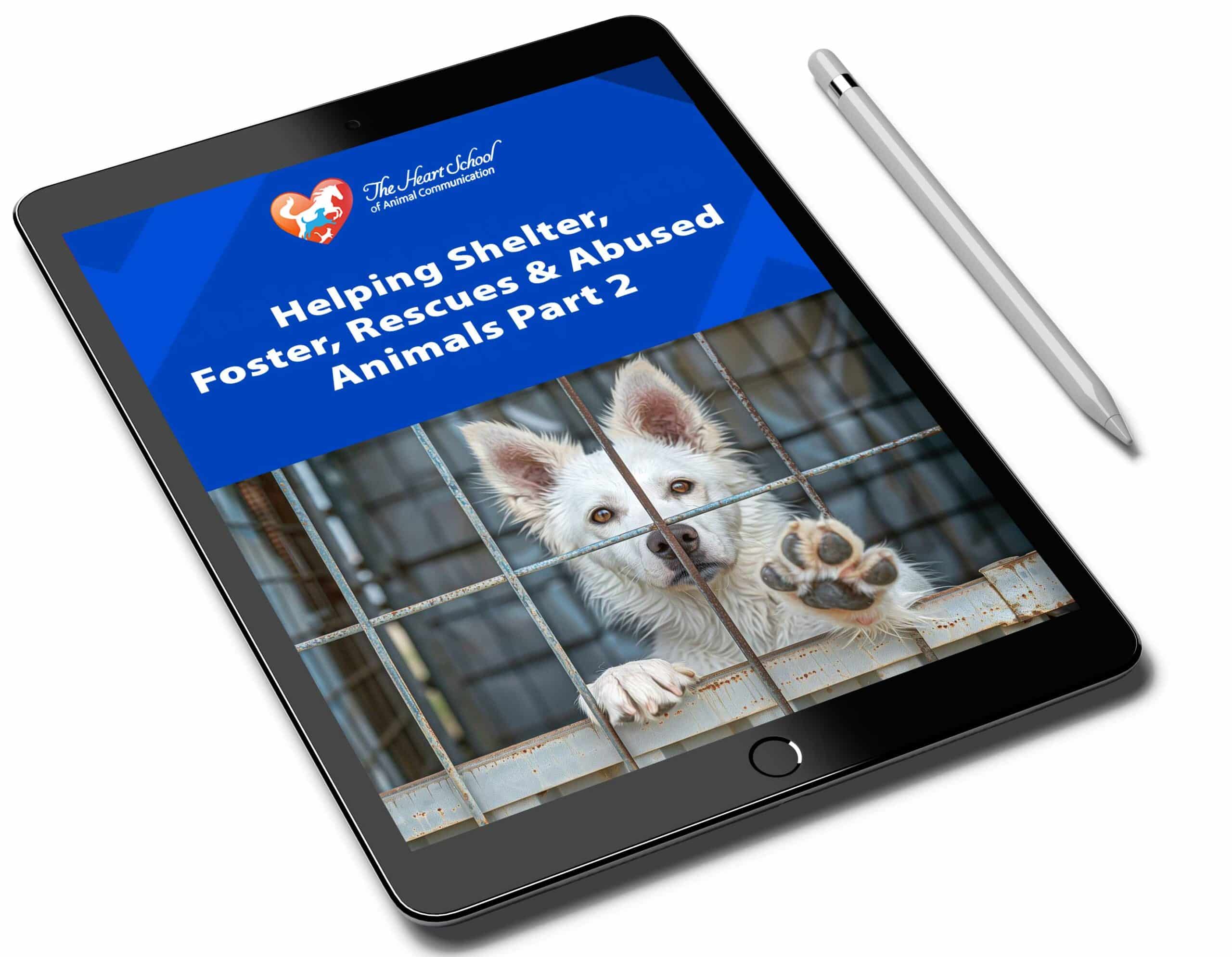 Helping Shelter, Foster, Rescues and Abused Animals Part 2