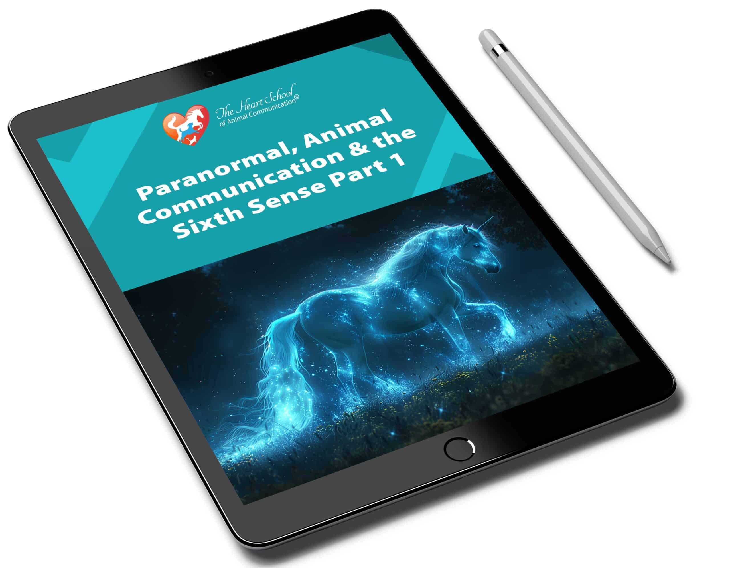 Be Their Ghost Buster: Animal Communication & the Paranormal Part 1