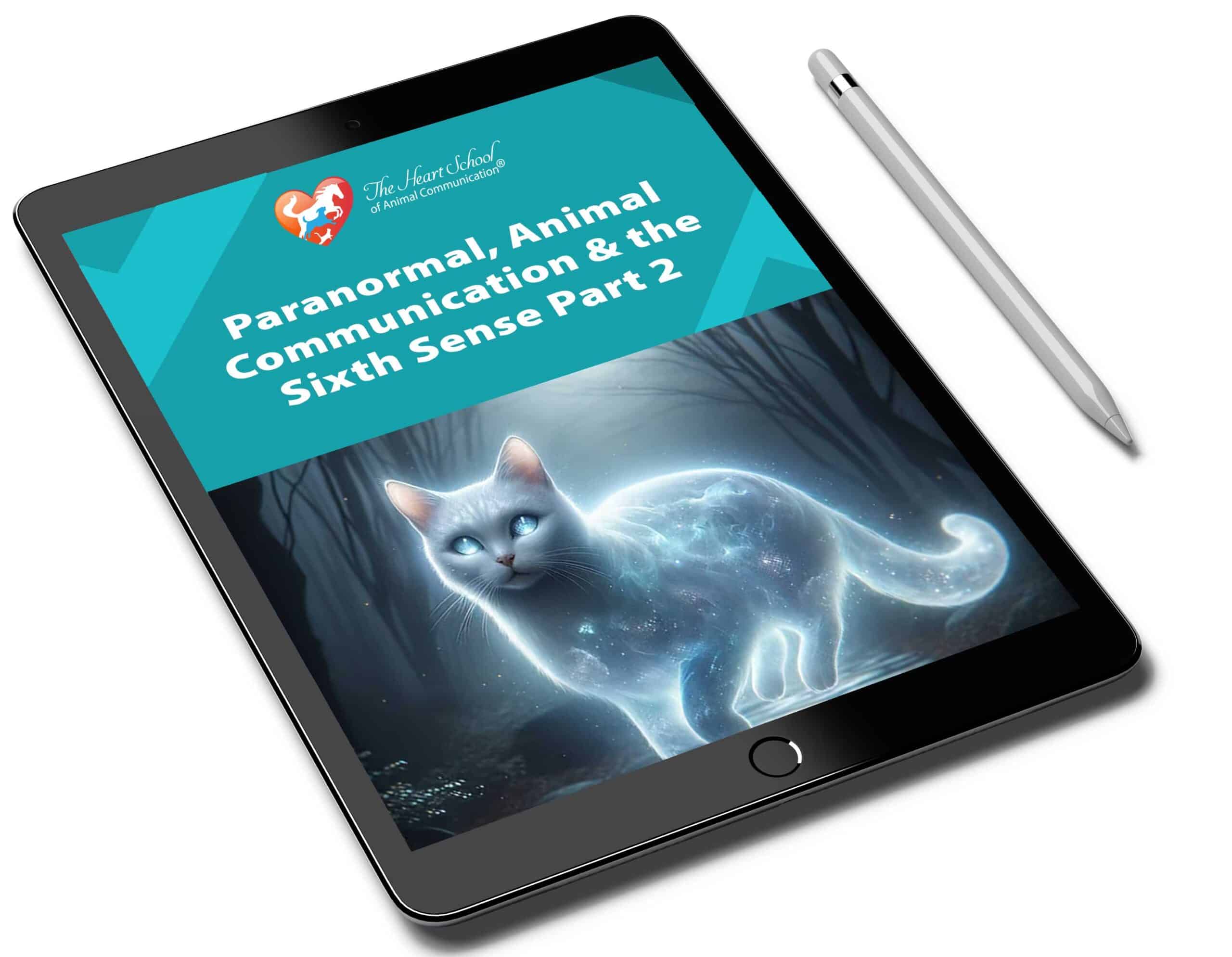 Be Their Ghost Buster: Animal Communication & the Paranormal Part 2
