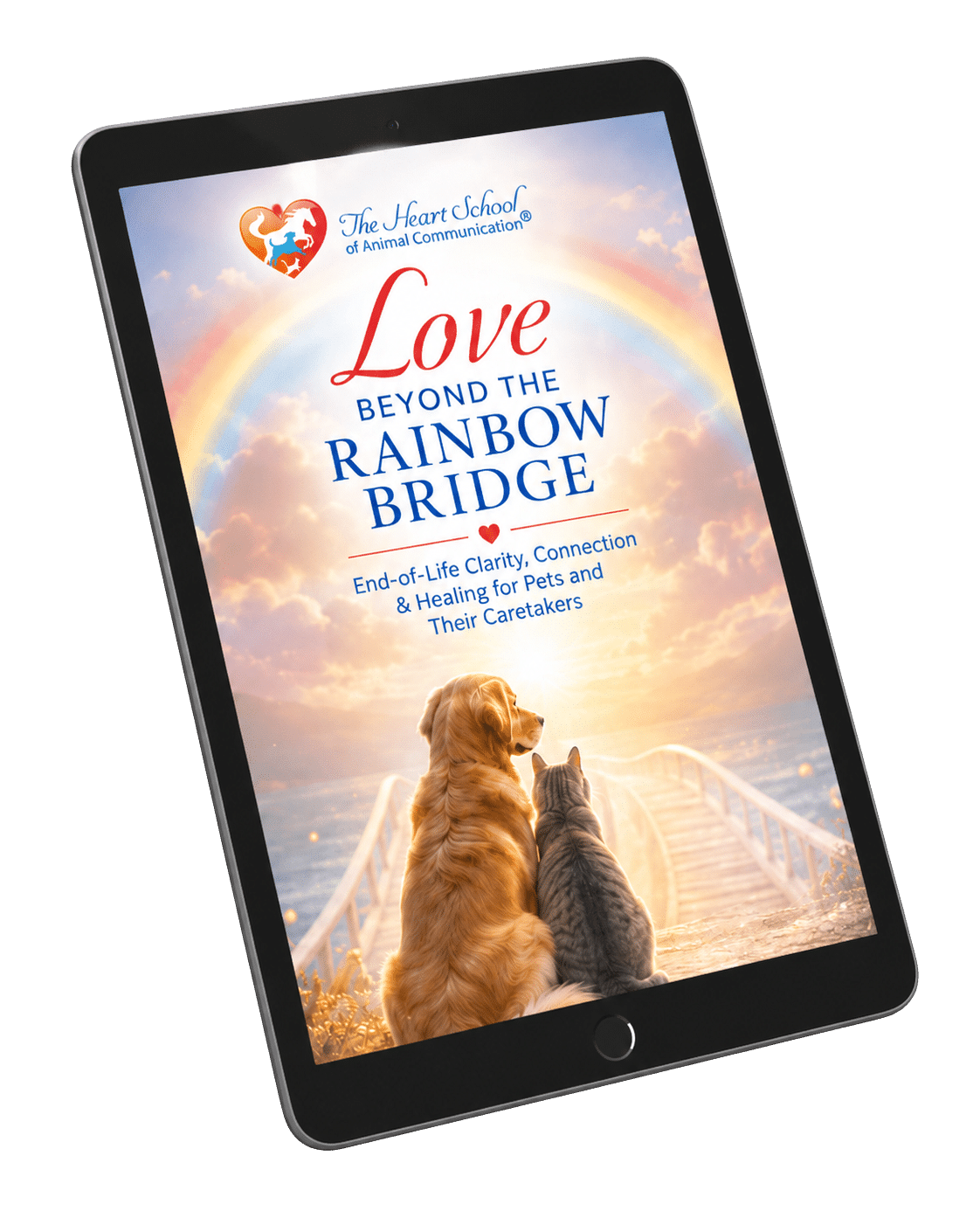 Love Beyond the Rainbow Bridge