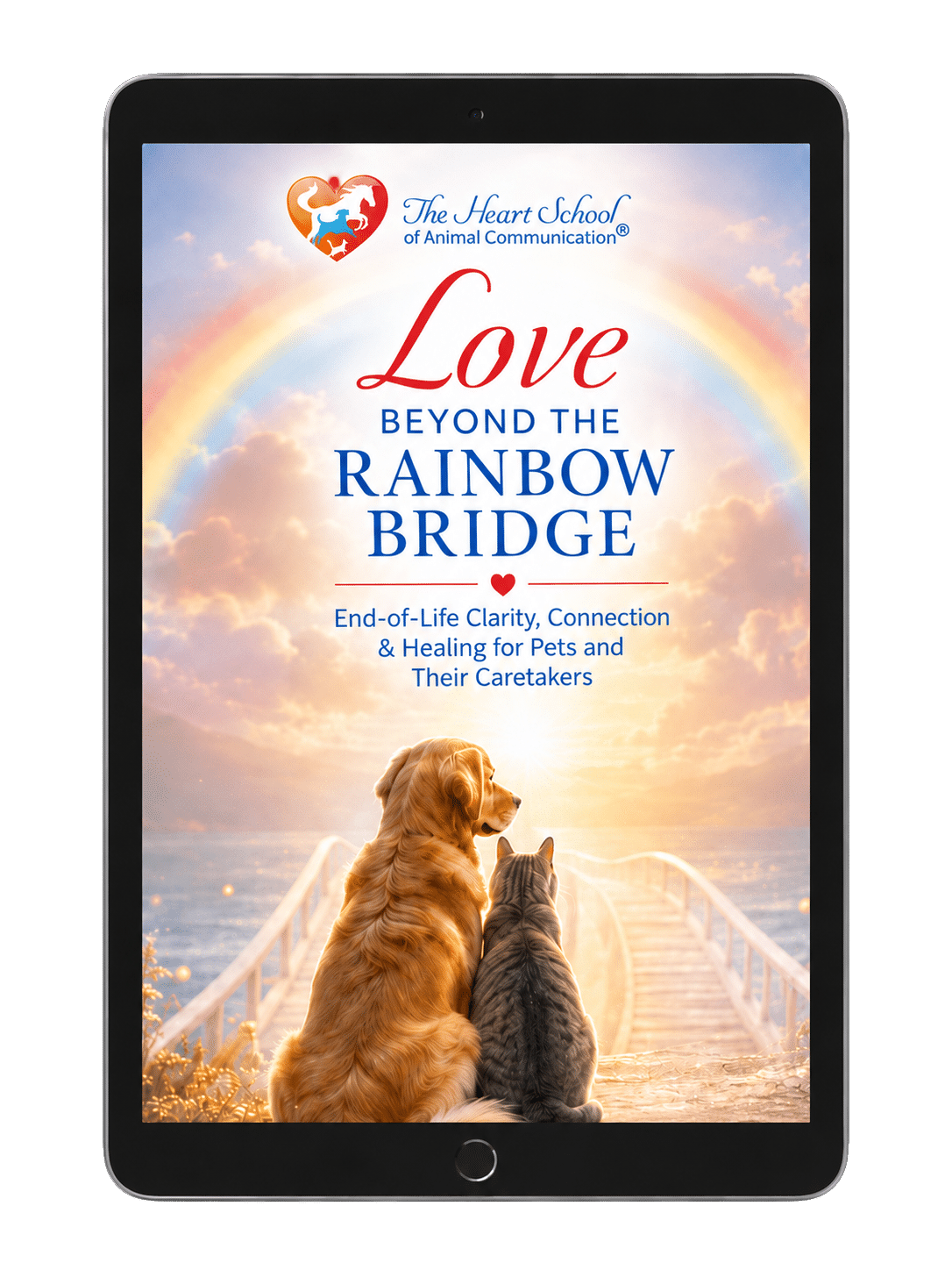 Love Beyond the Rainbow Bridge