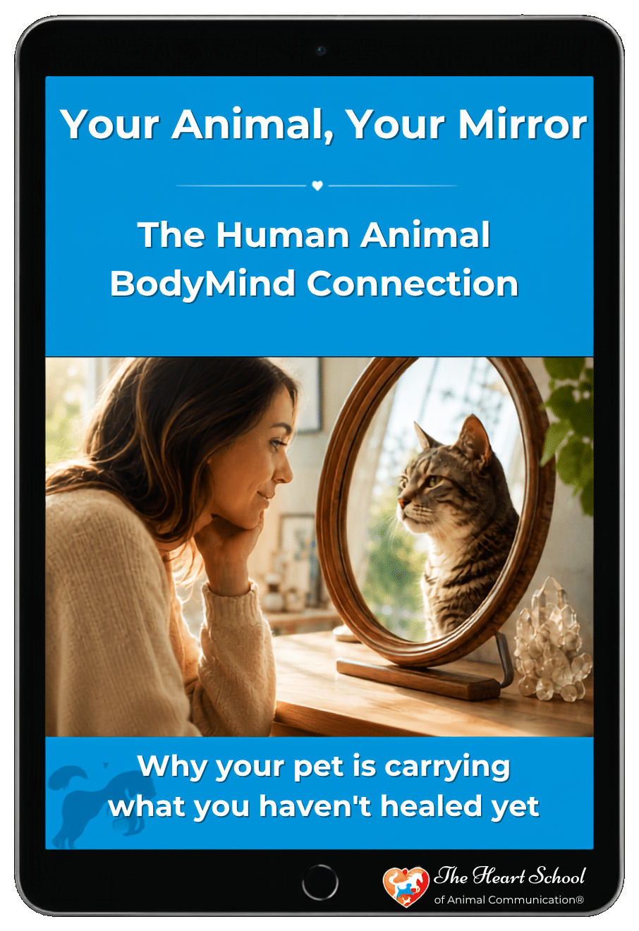 Your Animal, Your Mirror: The Human-Animal BodyMind Connection