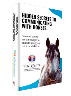 Hidden Secrets to Communicating with Horses